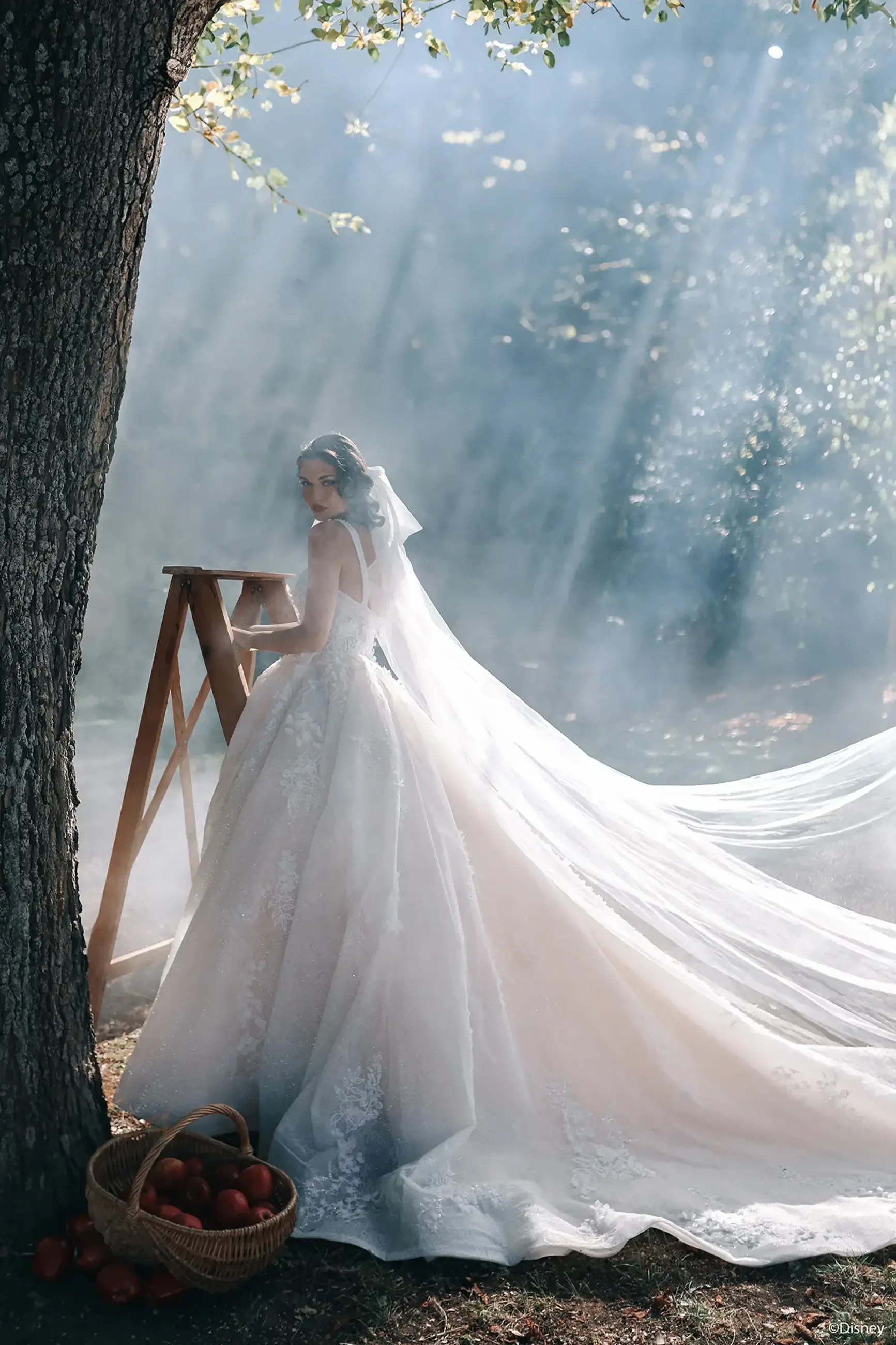 Model is wearing a sleeveless ball gown wedding dress with a square neckline and floral lace embroidery and appliques