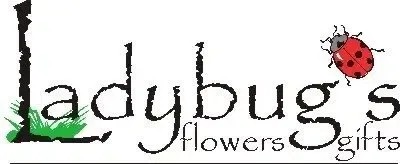 Ladybug’s Flowers and Gifts